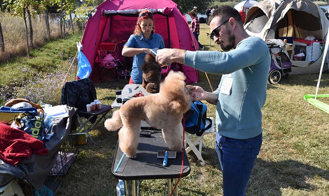 CAC Nemzeti Kutyakiállítást tartottak Turián